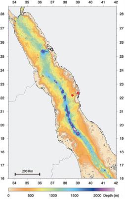 Metabarcoding Reveals Seasonal and Temperature-Dependent Succession of Zooplankton Communities in the Red Sea